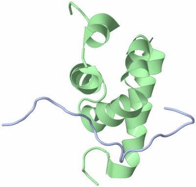 Image NMR Structure - model 1