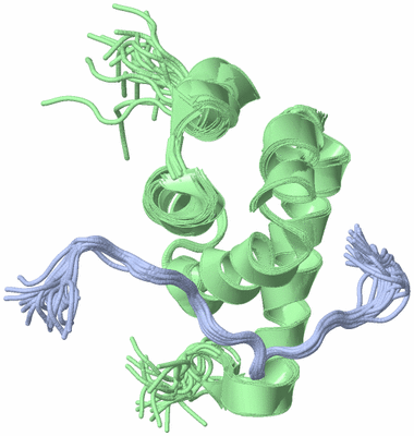 Image NMR Structure - all models