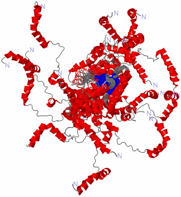 Image NMR Structure - all models
