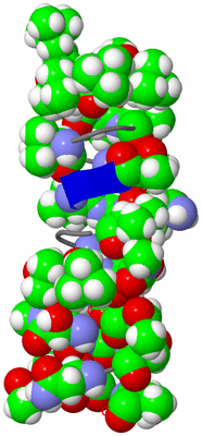 Image NMR Structure - model 1