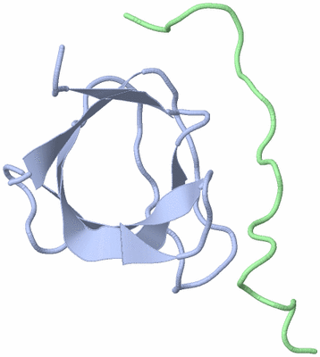 Image NMR Structure - model 1