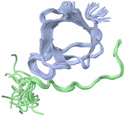 Image NMR Structure - all models