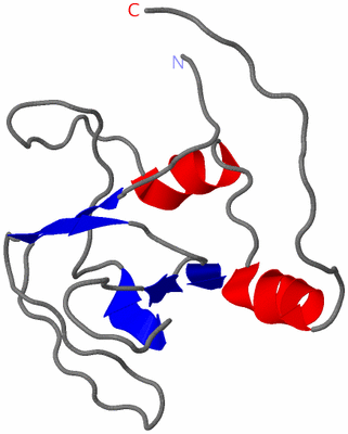 Image NMR Structure - model 1