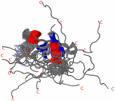 Image NMR Structure - all models