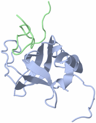 Image NMR Structure - model 1