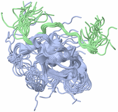 Image NMR Structure - all models