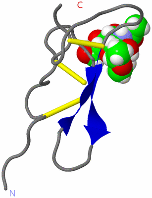 Image NMR Structure - model 1