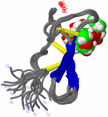 Image NMR Structure - all models