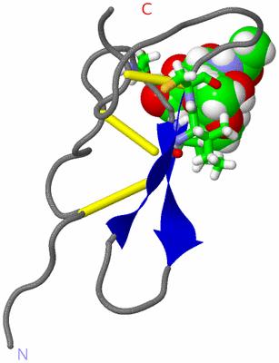 Image NMR Structure - model 1, sites