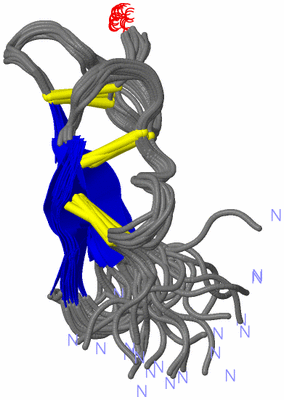 Image NMR Structure - all models