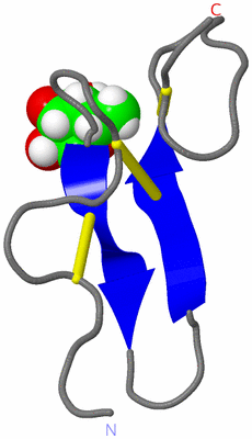 Image NMR Structure - model 1