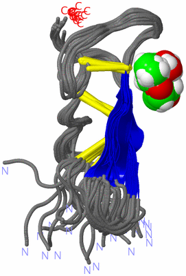 Image NMR Structure - all models