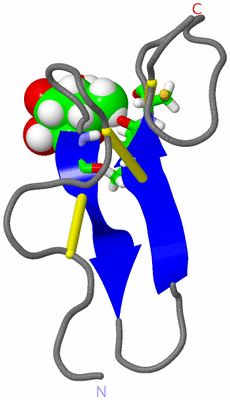 Image NMR Structure - model 1, sites