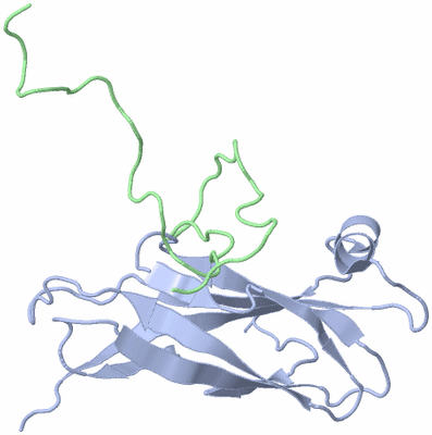 Image NMR Structure - model 1