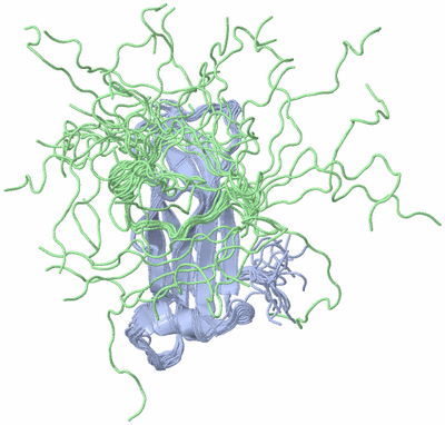 Image NMR Structure - all models