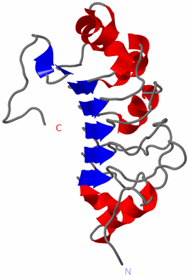 Image NMR Structure - model 1