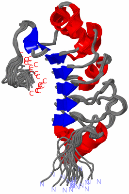 Image NMR Structure - all models