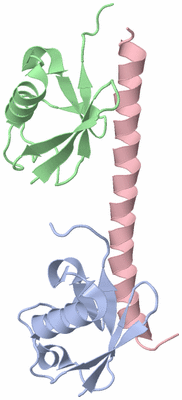 Image NMR Structure - model 1