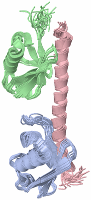 Image NMR Structure - all models