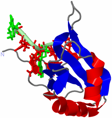 Image NMR Structure - model 1