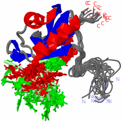 Image NMR Structure - all models