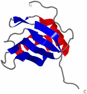 Image NMR Structure - model 1