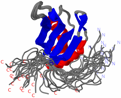 Image NMR Structure - all models