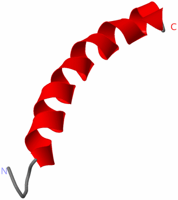 Image NMR Structure - model 1