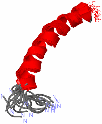 Image NMR Structure - all models