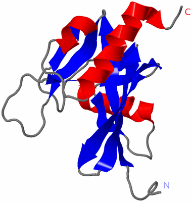 Image NMR Structure - model 1