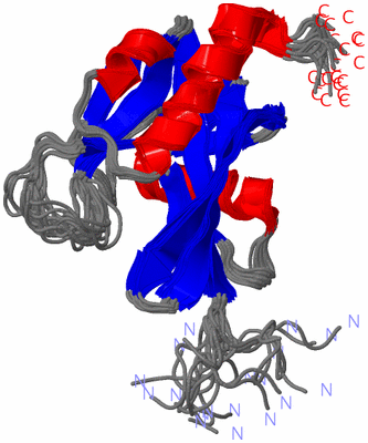 Image NMR Structure - all models