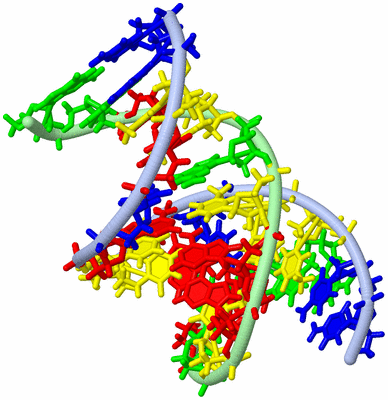 Image NMR Structure - model 1