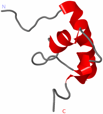 Image NMR Structure - model 1