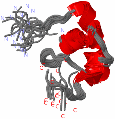 Image NMR Structure - all models