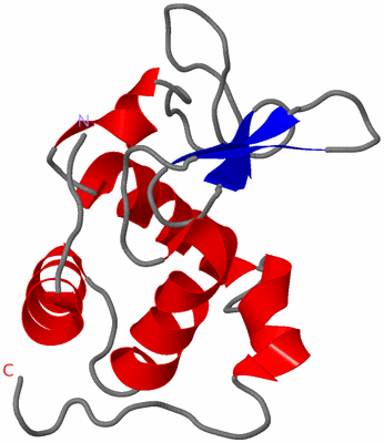 Image NMR Structure - model 1