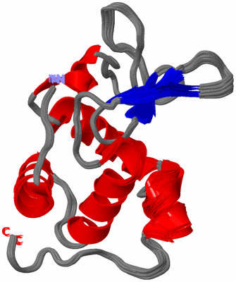 Image NMR Structure - all models