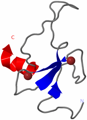 Image NMR Structure - model 1