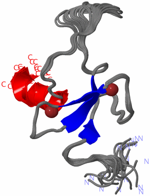 Image NMR Structure - all models