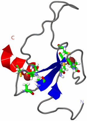 Image NMR Structure - model 1, sites