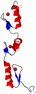 Image NMR Structure - model 1