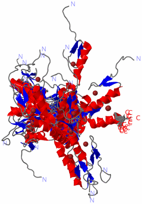 Image NMR Structure - all models