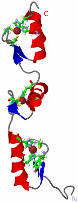 Image NMR Structure - model 1, sites