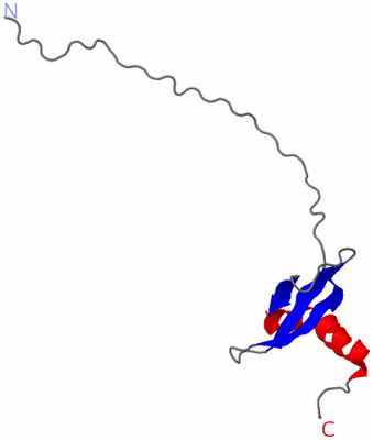 Image NMR Structure - model 1