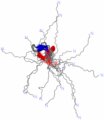 Image NMR Structure - all models