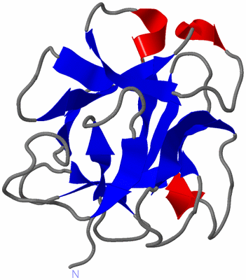 Image NMR Structure - model 1