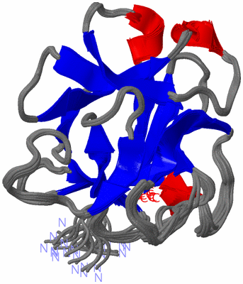 Image NMR Structure - all models