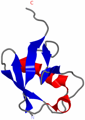 Image NMR Structure - model 1