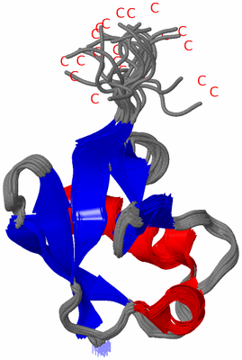 Image NMR Structure - all models