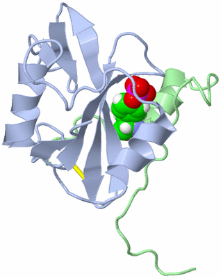 Image NMR Structure - model 1