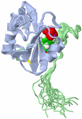 Image NMR Structure - all models